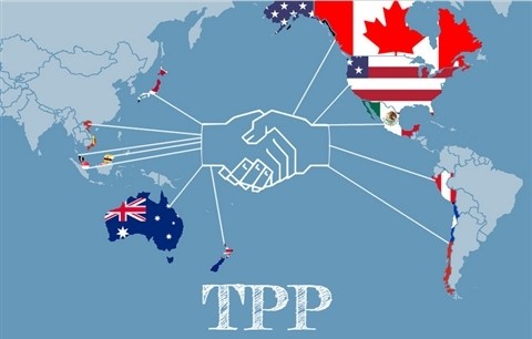 TPP: Ohne Beteiligung der USA - ảnh 1